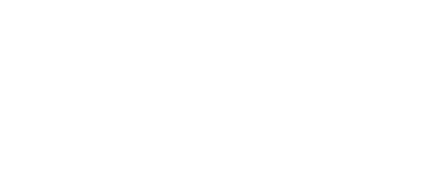 Gordon Institute